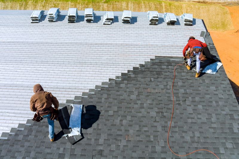 Experienced Roofers at Work