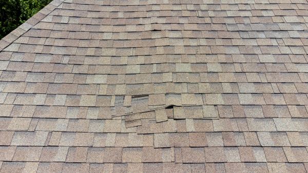 Roof Leak Inspection in Deland