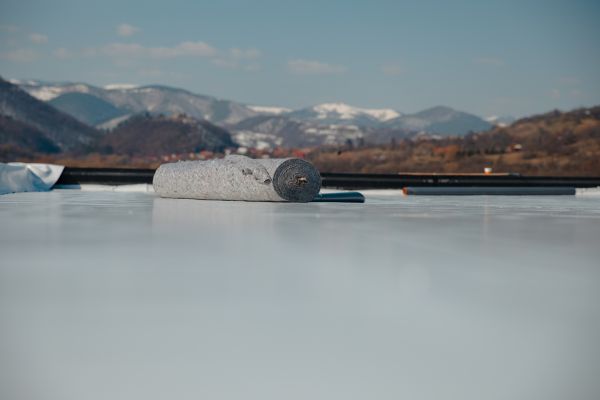 Tpo Roof Coating Service in Deland
